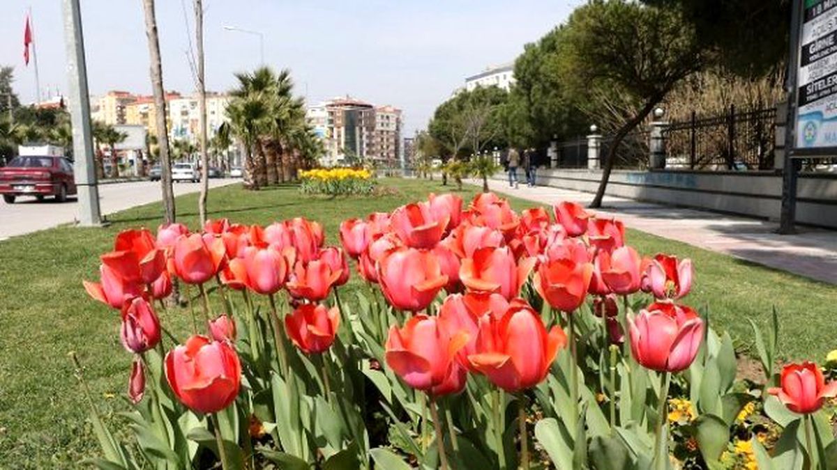 Manisa\'da Lale Devri Başladı