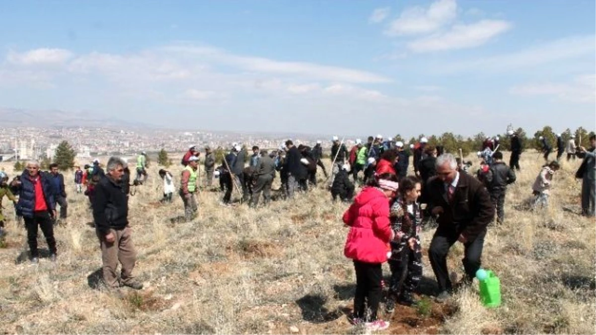 Minik Öğrenciler Fidan Dikti