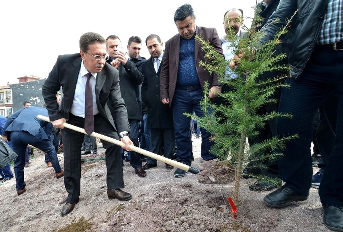 Pursaklar\'da 2 Bin 500 Fidan Toprakla Buluştu