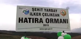 Yanan Orman Alanına 3 Bin Fidan Dikildi