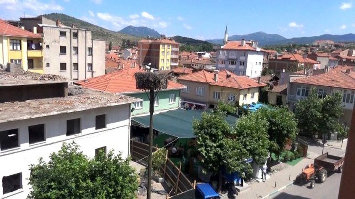 Yeni Belediye Binasına İlk Leylekler Yerleşti