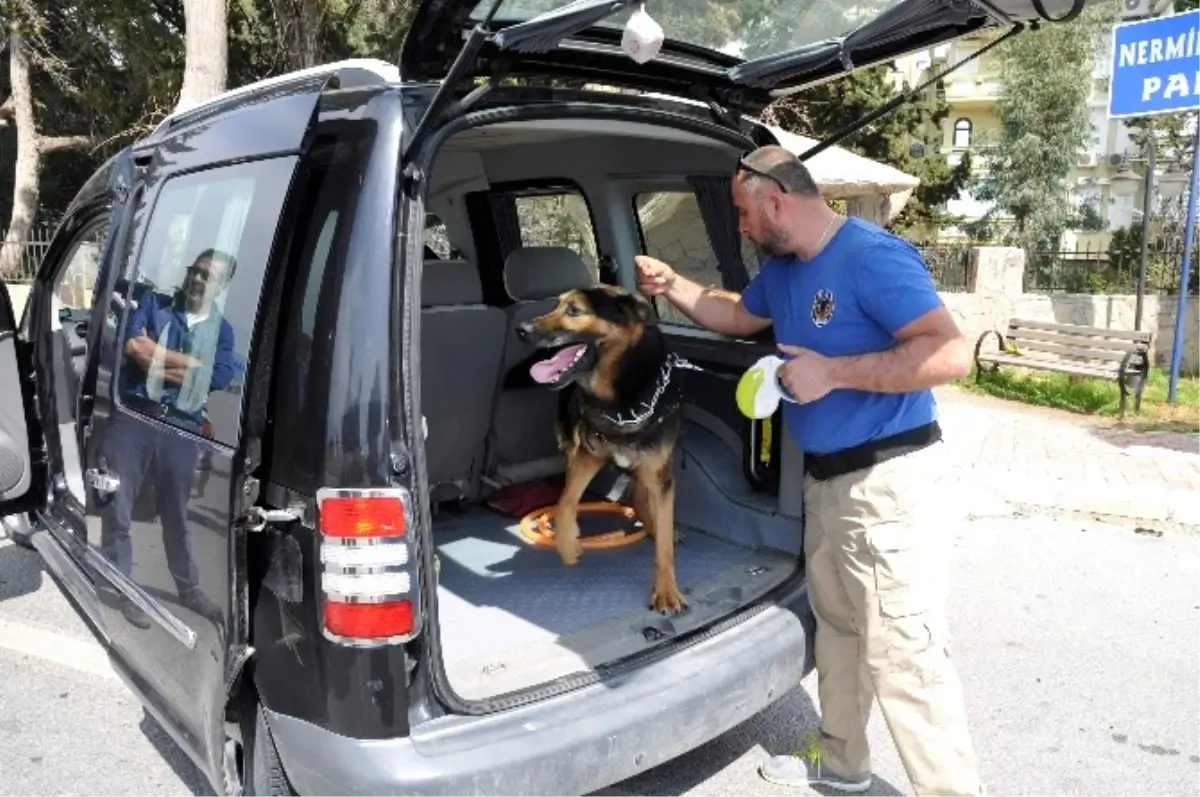 Antalya\'da Bomba Aramaları \'Google\'den Soruluyor