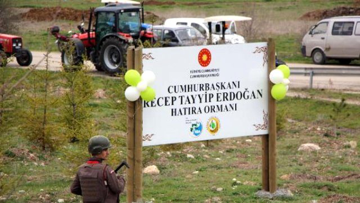 Bolu\'da 300 Fidan Dikildi