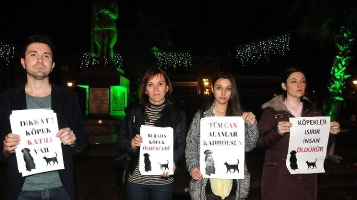 Çaycuma\'da Şiddet Gören Sokak Hayvanları İçin Oturma Eylemi