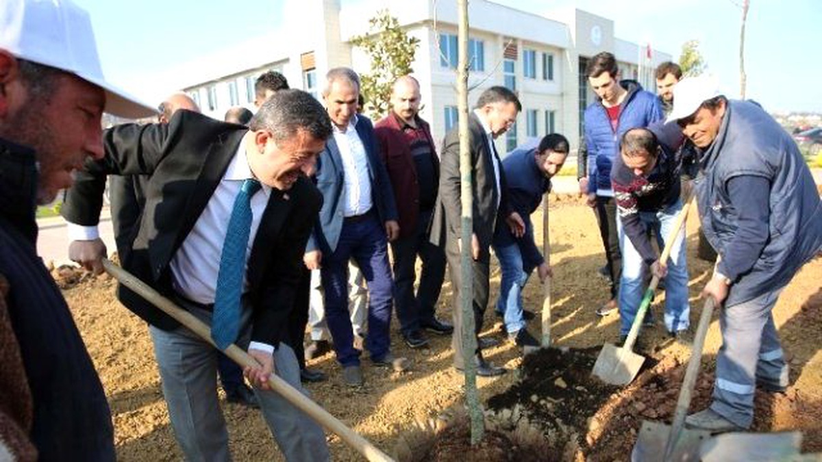 Darıca Gençlik Merkezi Ağaçlandırıldı