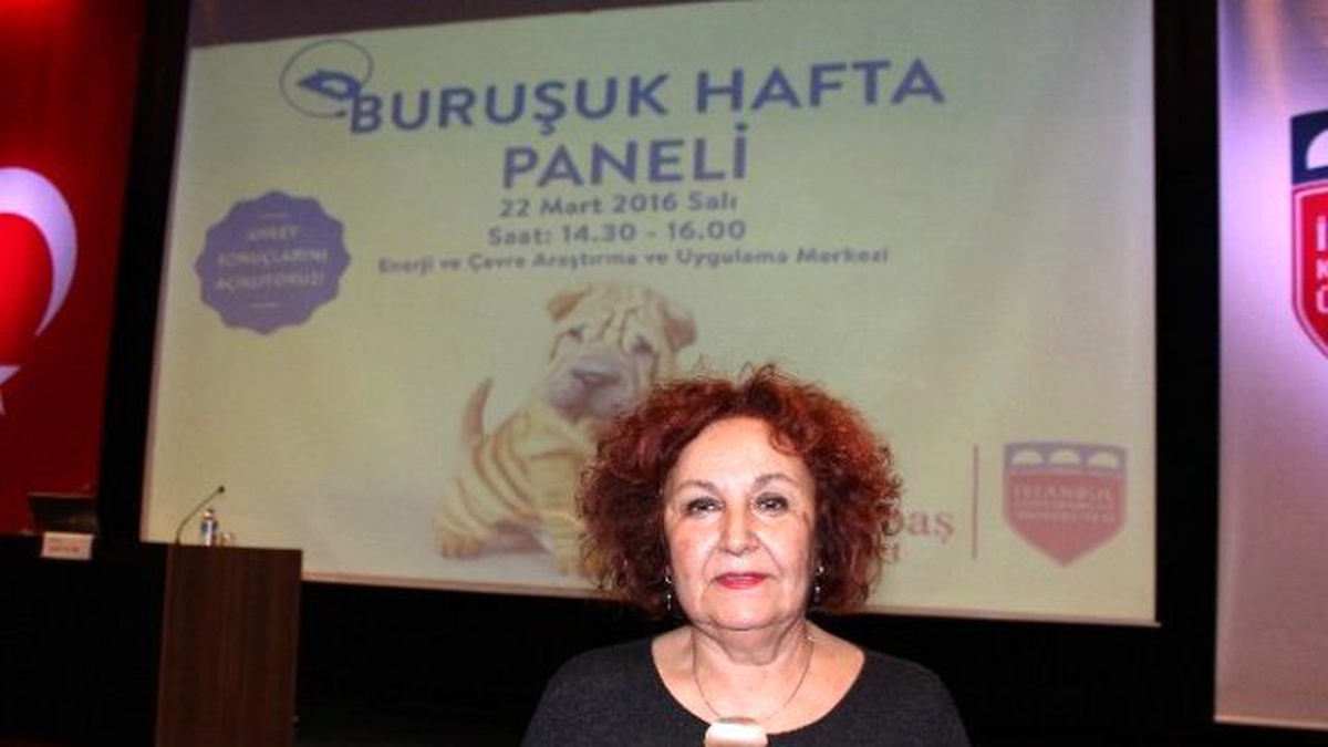 Enerji Kaynaklarının Hızla Tüketilmesine Karşı \'Buruşuk Hafta\' Projesi