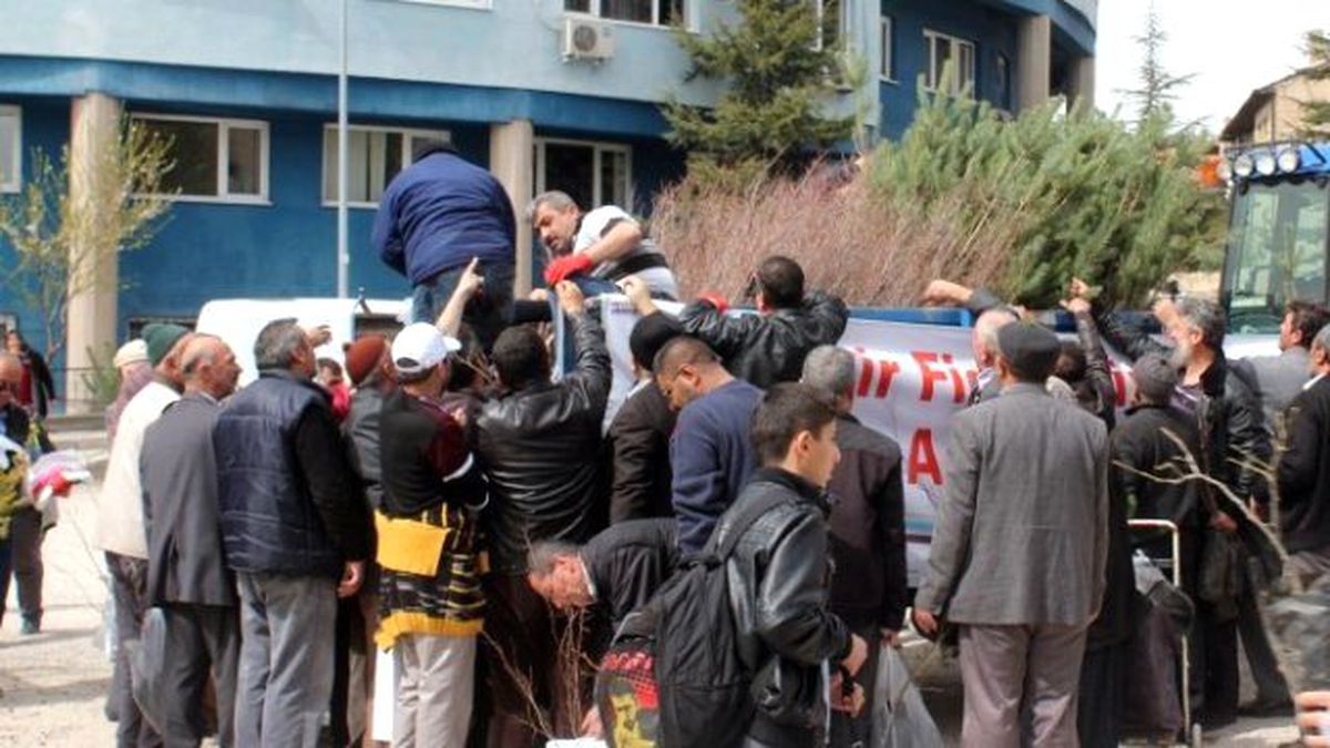 Fidan Dağıtımına Yoğun İlgi