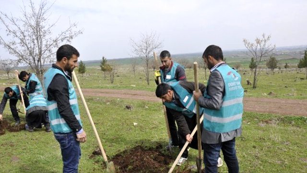 Hükümlüler Fidanları Toprakla Buluşturdu