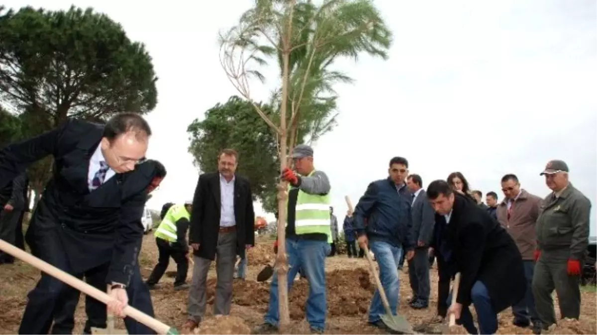 Mehmet Akif Ersoy Hatıra Ormanı Oluşturuldu