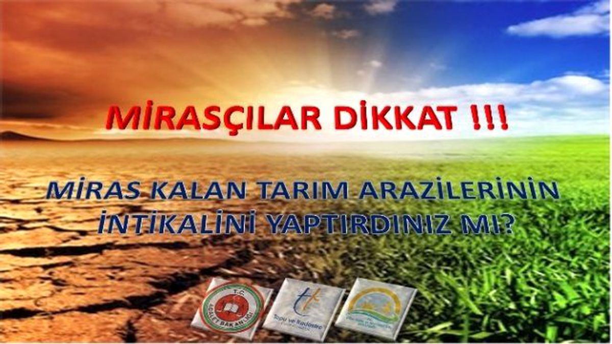 Mirasçılar Dikkat! 3 Ayınız Kaldı