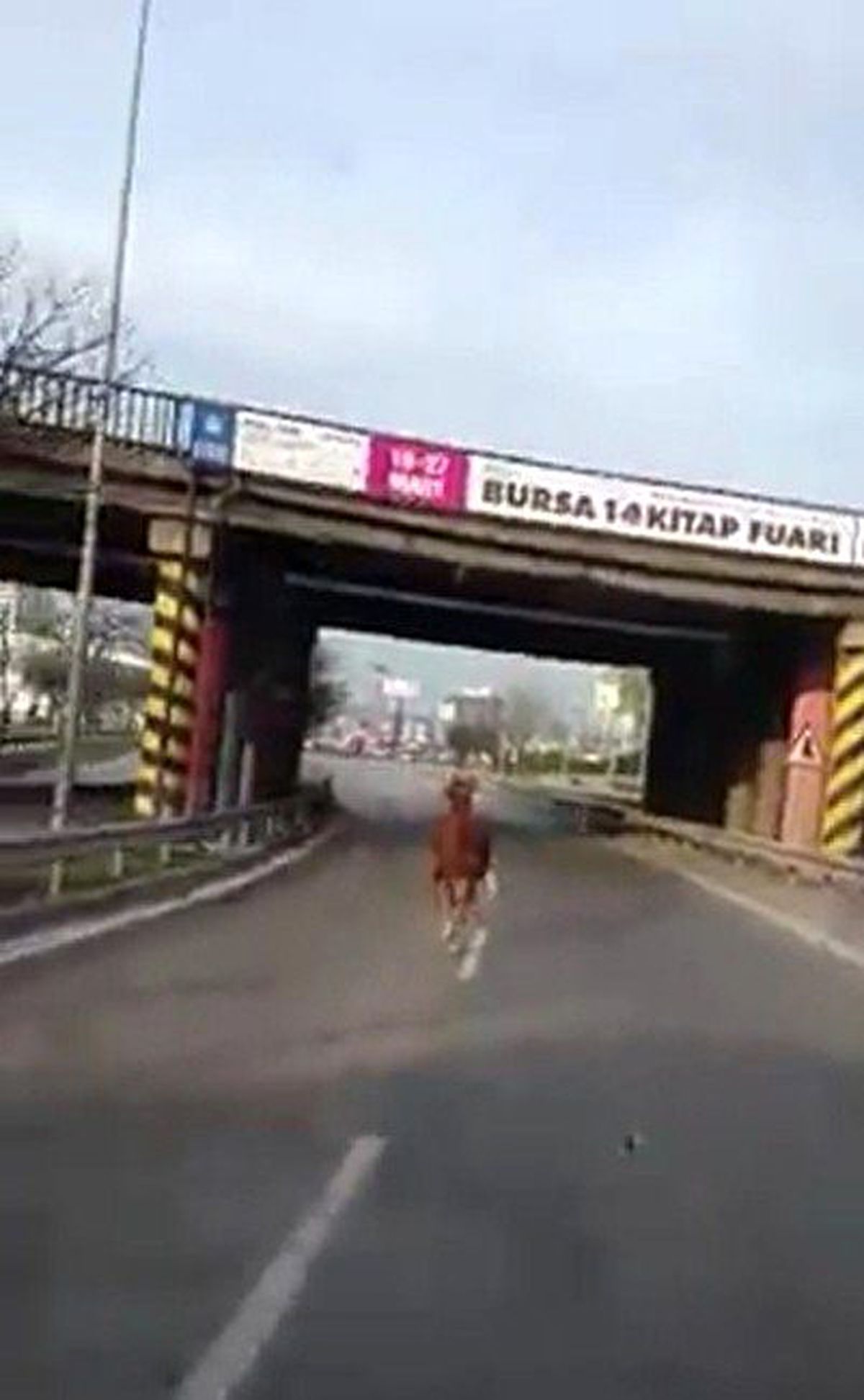 Oto Yol Veli Efendi\'ye Döndü