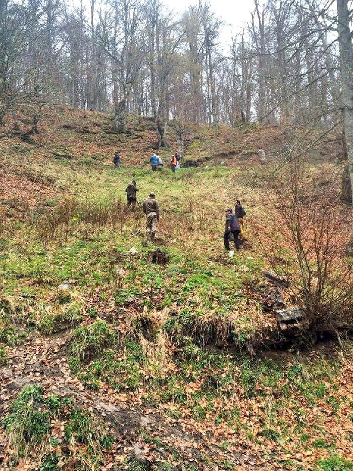 Yaban Hayvanları İçin Doğaya 3 Bin Meyve Fidanı Dikildi