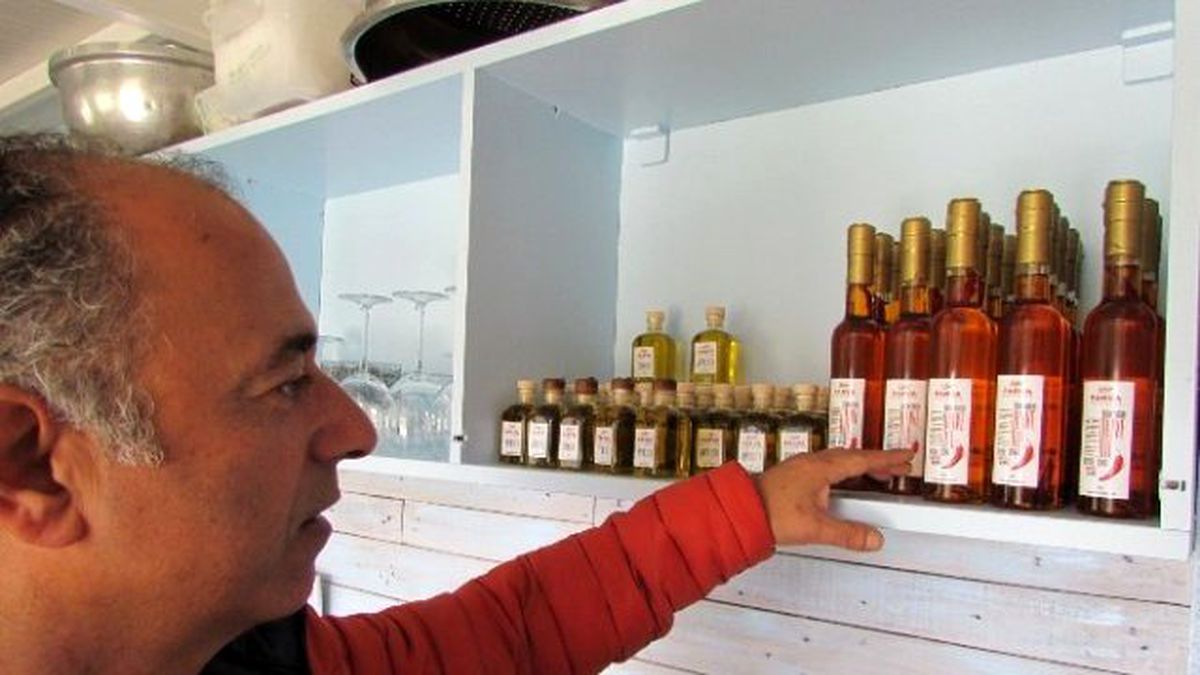 Yönetmenlikten Çiftçiliğe