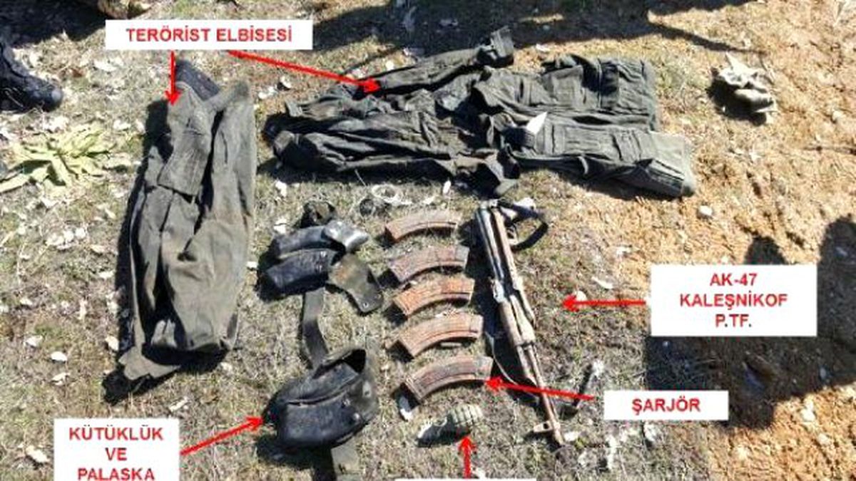 Bitlis, Tunceli ve Şanlıurfa Kırsalında PKK\'ya Yönelik Operasyon Düzenlendi