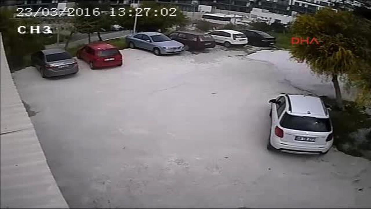 Bodrum\'da Fırtına Ağacı Kökünden Söktü
