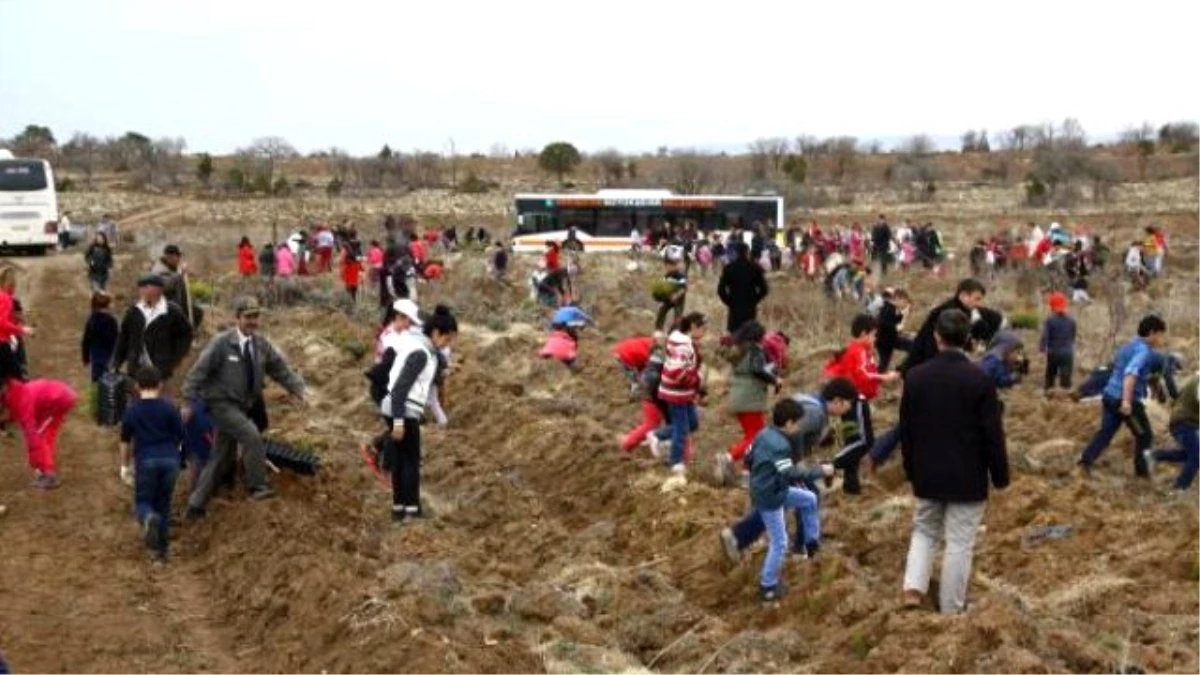 Eskişehir\'de 21 Okul, 21 Bin Fidanı Toprakla Buluşturdu
