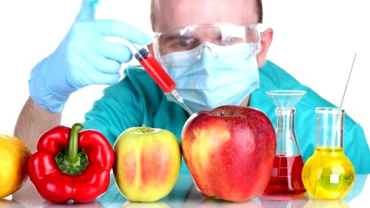 Genetiği Değiştirilmiş Bitkiler İkü\'de Tartışılıyor