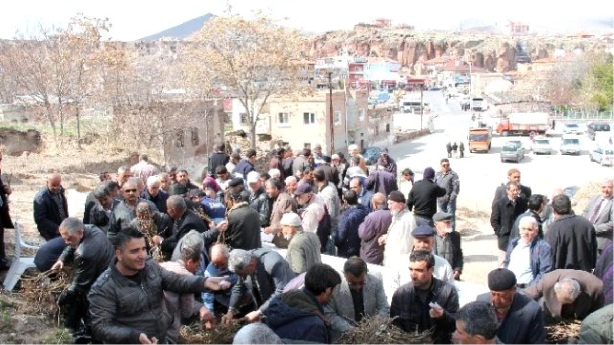 İncesu Belediyesi Bağcılığa Destek Vermeye Devam Ediyor