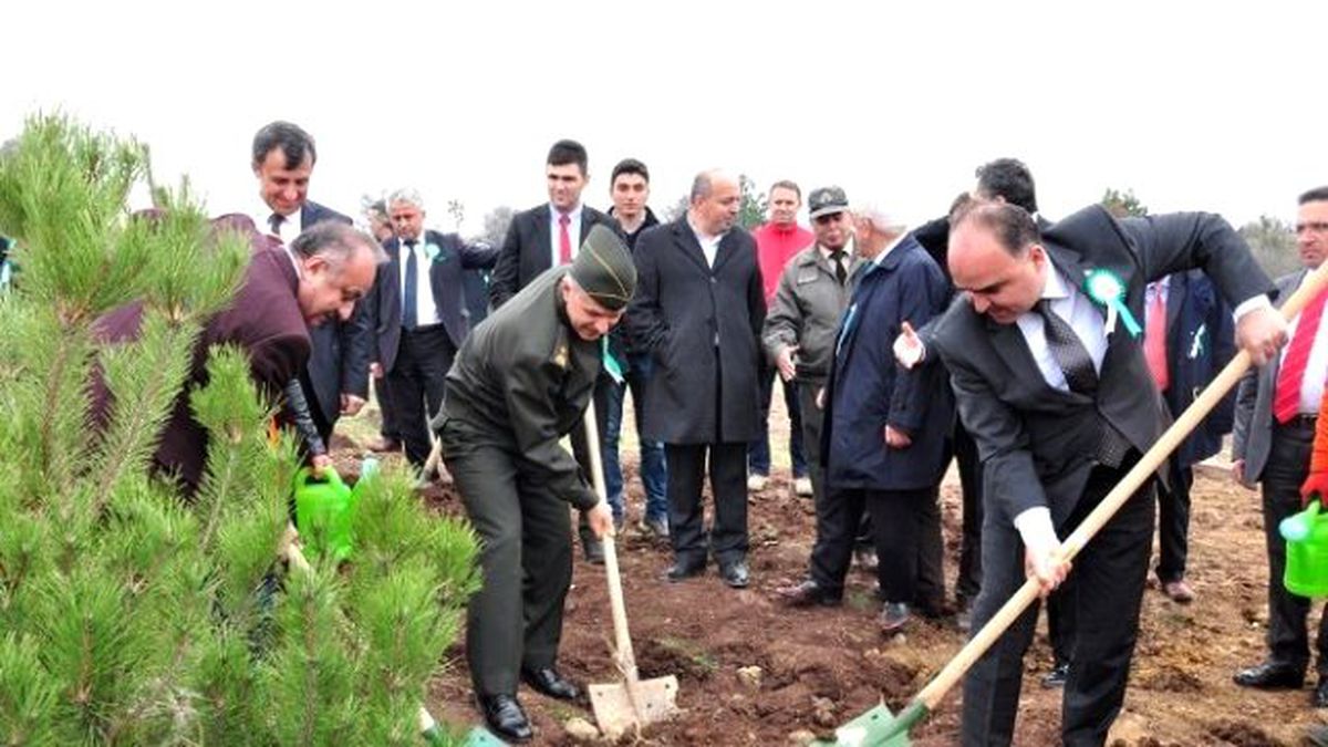 Kastamonu\'da Ormancılık Haftası Kutlandı