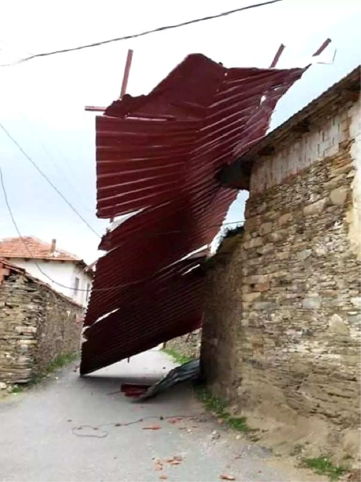 Salihli'de Şiddetli Rüzgar Ağaçları Devirdi, Elektrik Tellerini Kopardı