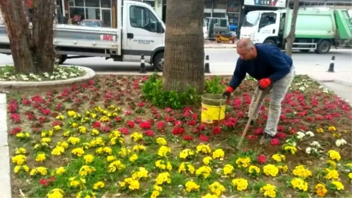 Alaşehir Belediyesi İlçeyi Rengarenk Donattı