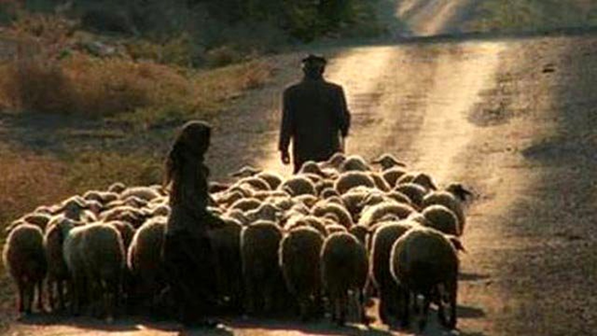Belediyenin İhmalkârlığı Esnafı Perişan Etti