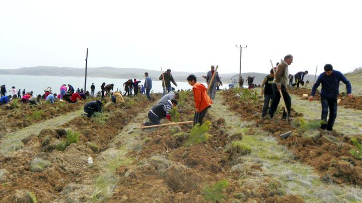 Tunceli\'de Ağaçlandırma Çalışmaları