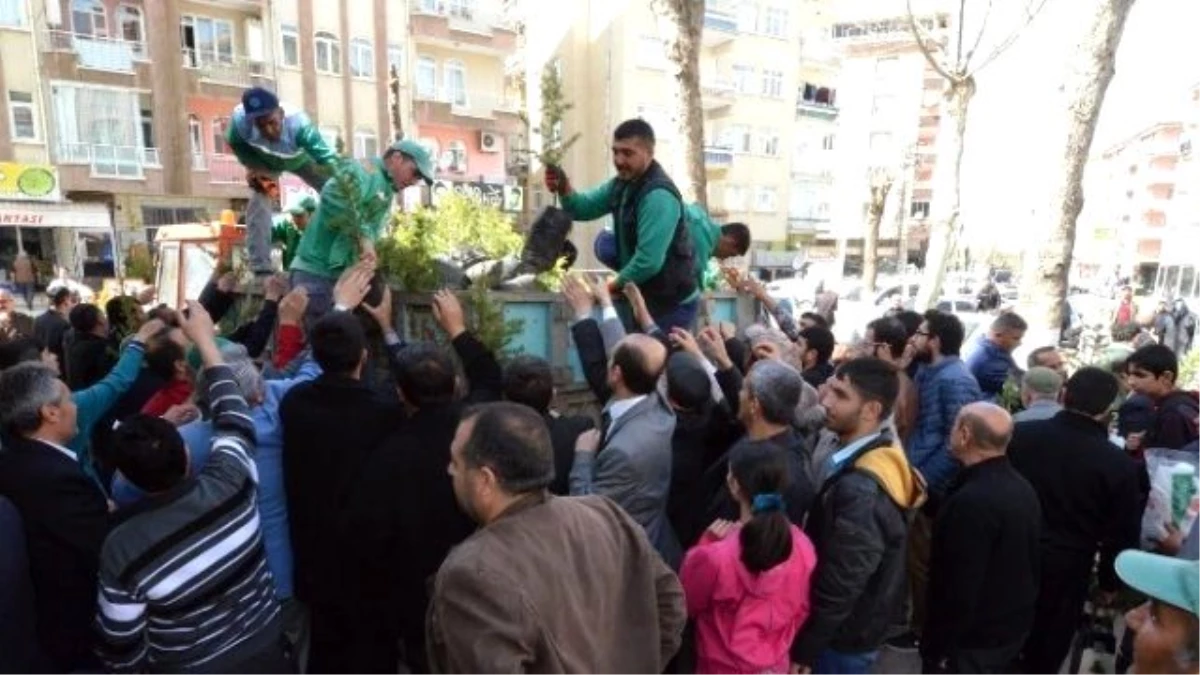 Cuma Namazı Sonrası 18 Bin Fidan Dağıtıldı