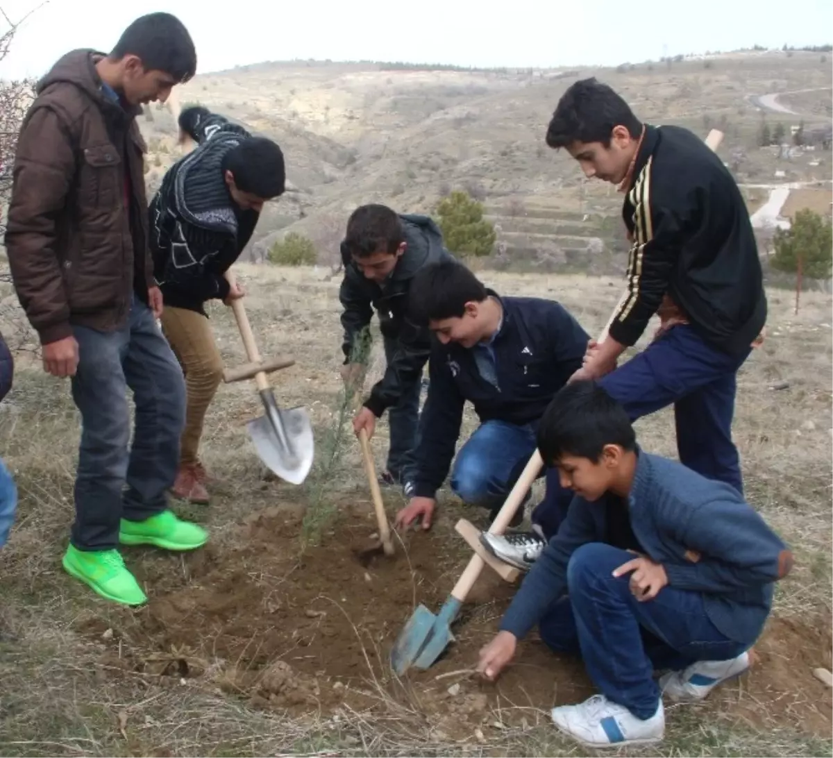 Elazığ\'da Nevruz Ormanı\'na Fidan Dikildi