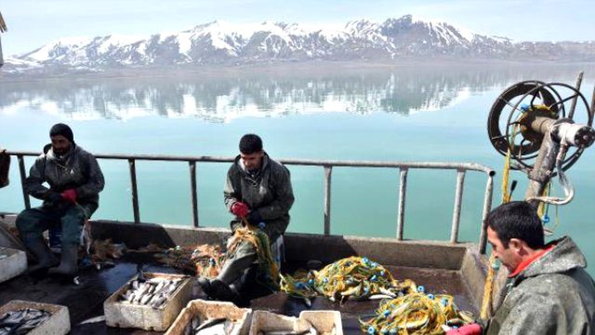 İnci Kefalleri\'nin İkinci Yuvası Erçek Gölü Oldu