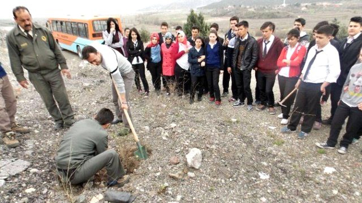 Kargı Metem Öğrencileri Fidan Dikti