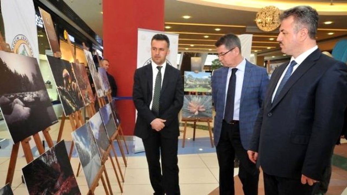 Kütahya\'da \'Ormanın Nefesi\' Konulu Fotoğraf Sergisi
