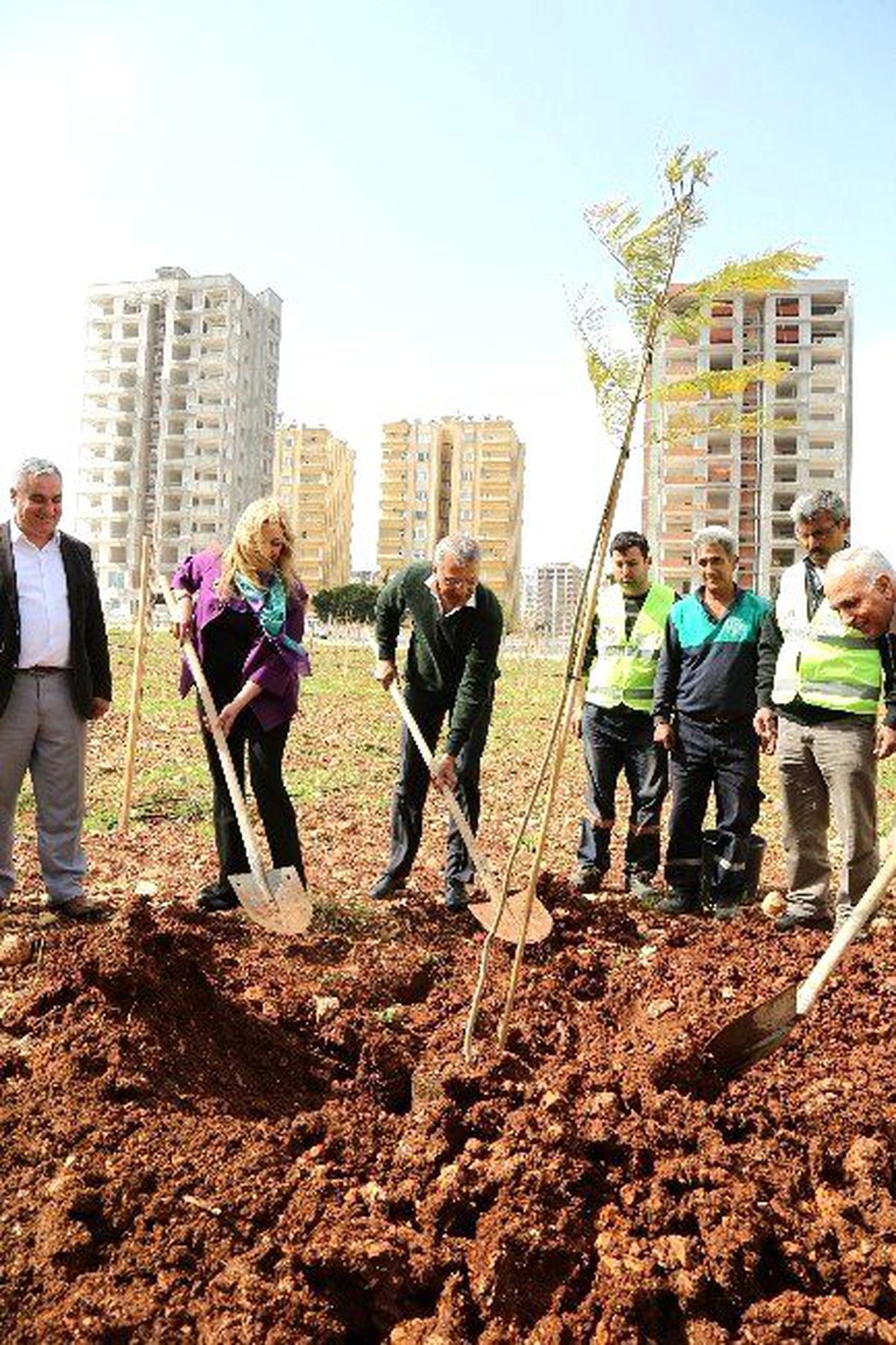 Mezitli\'de 20. Jacaranda Koruluğu Açıldı