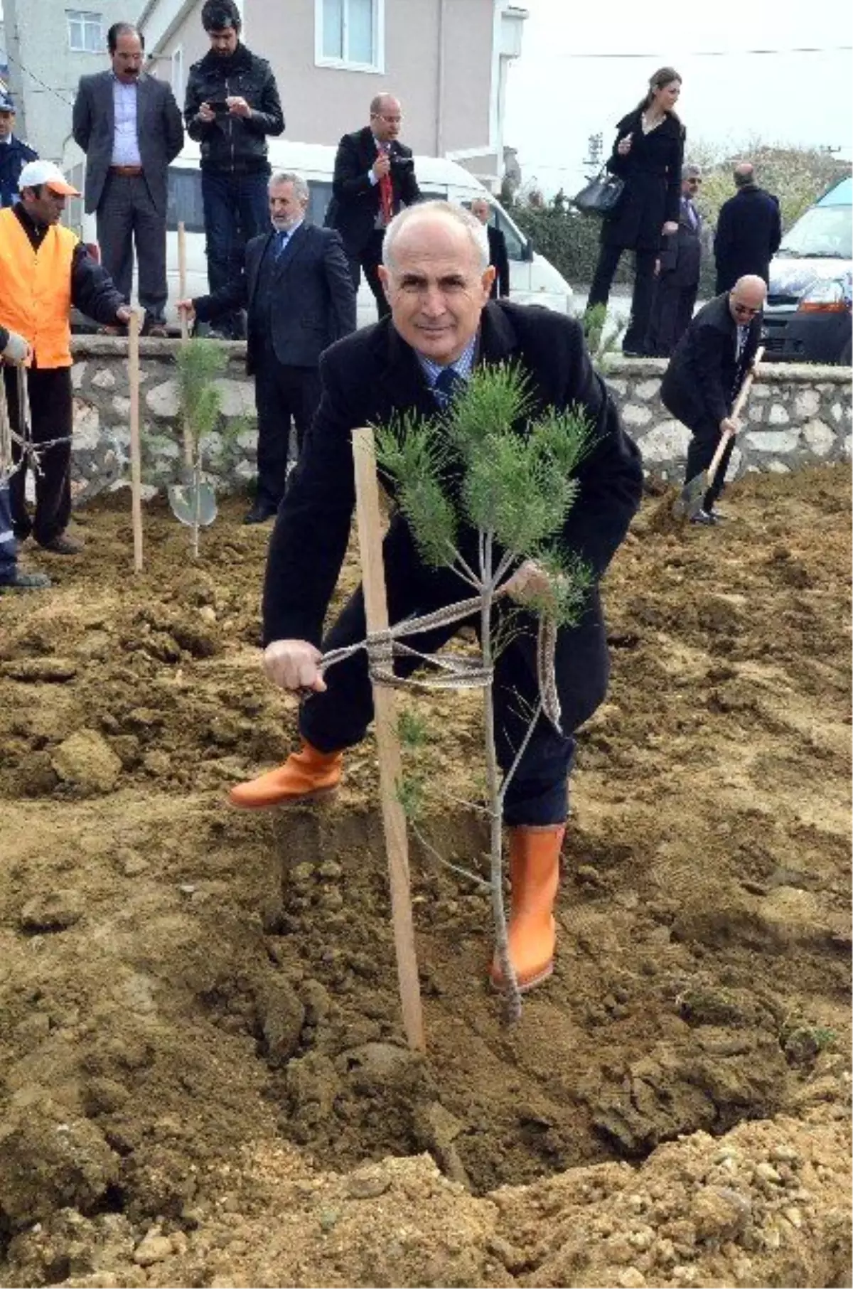 Önce Ağaç Dikecekler, Sonra Nikahları Kıyılacak