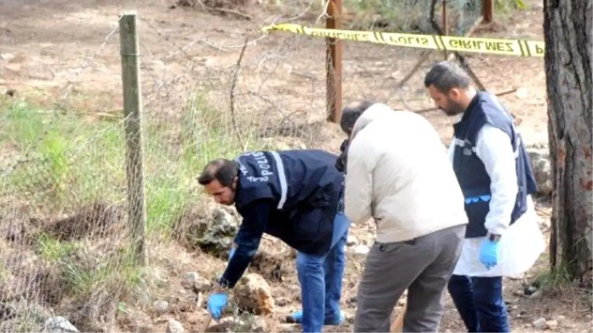 Ormandaki Mezardan Köpek Ölüsü Çıktı