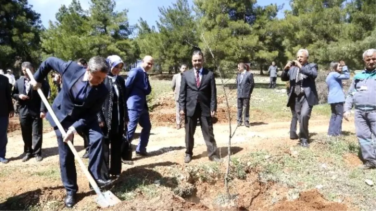 Şahinbey Belediyesi Başkanı Mehmet Tahmazoğlu Açıklaması