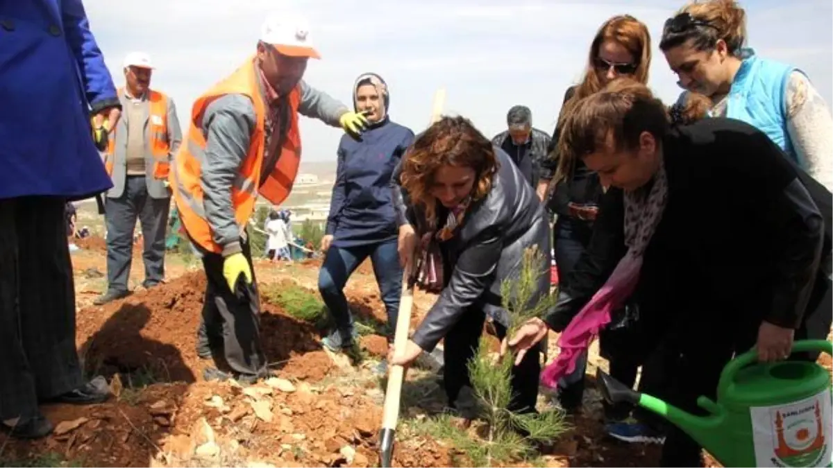 Urfa İçin Yeşil Protokol İmzalandı