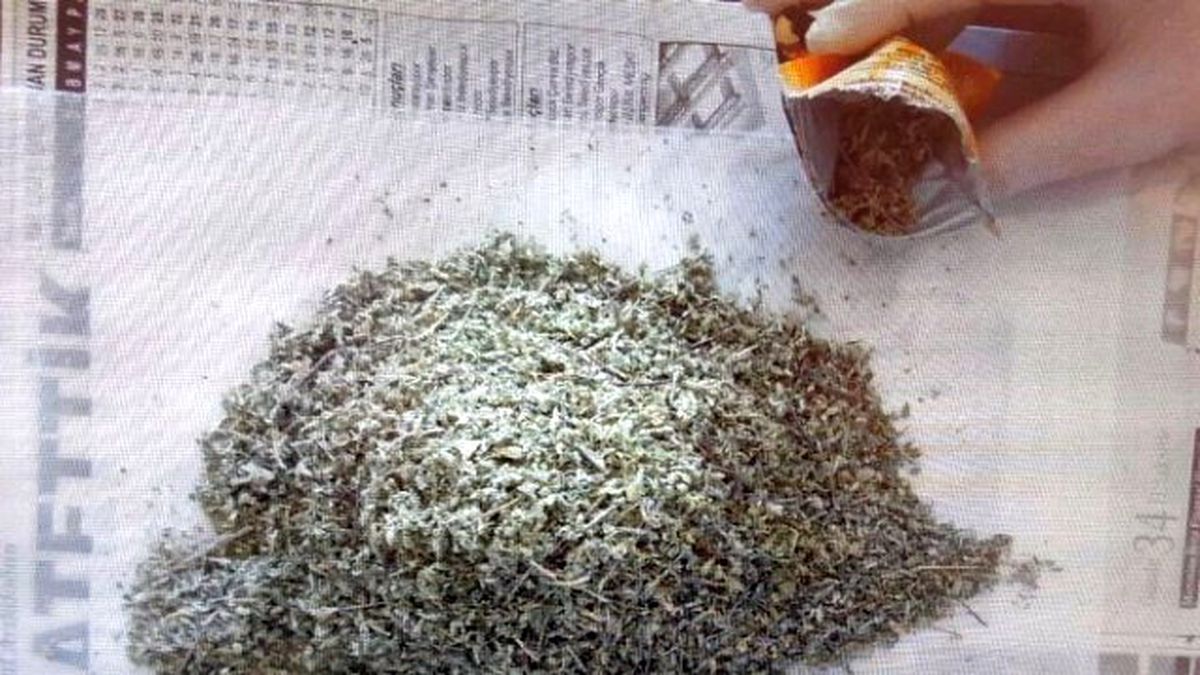 Aksaray\'da Bonzai Operasyonu