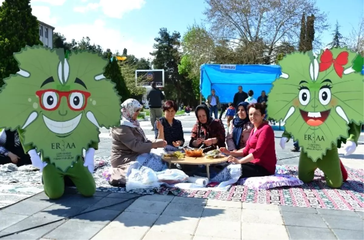 Erbaa\'da Tokat Valisi Can\'a Tescil Tepkisi