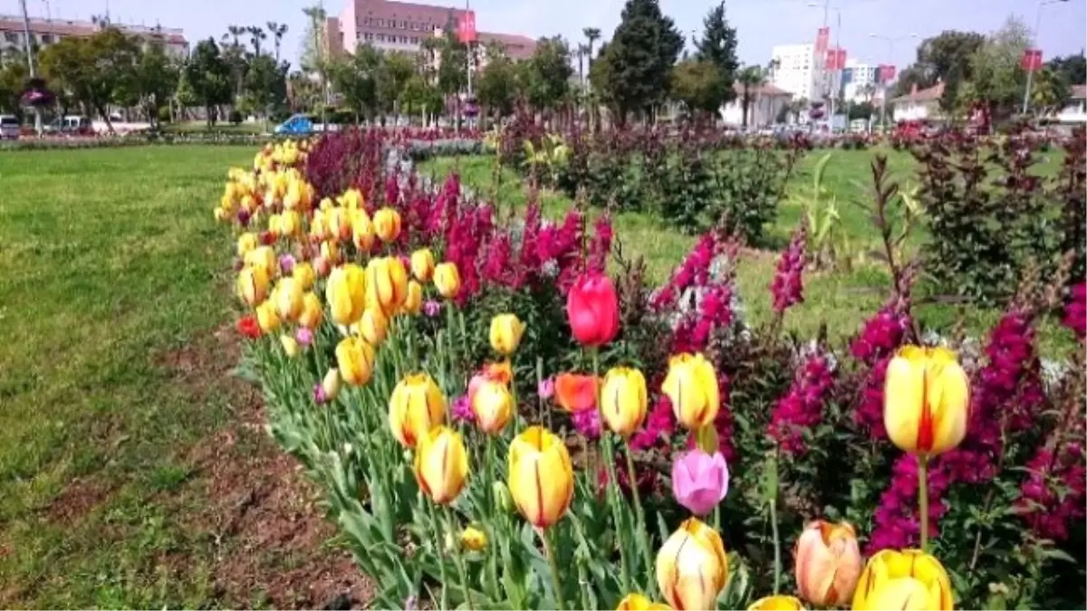 Mersin, Lalelerle Renklendi