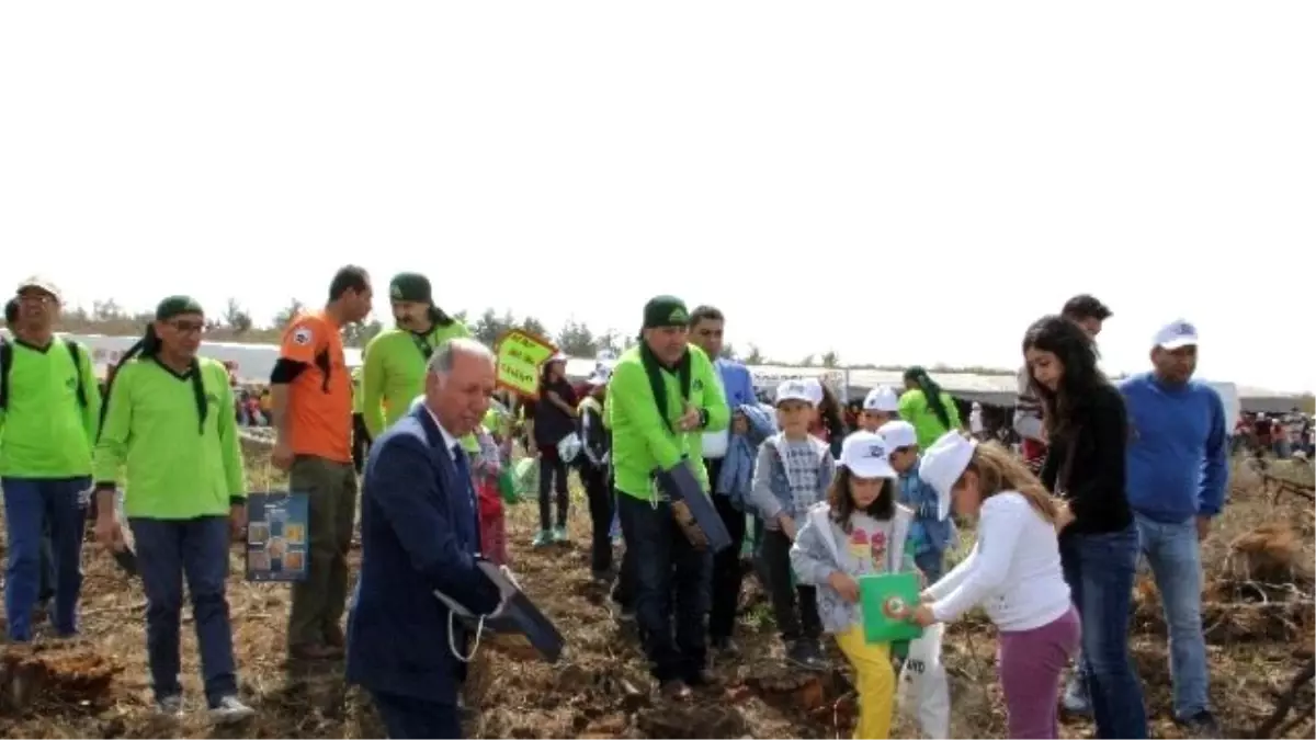 Minik Eller Amanos Dağlarına 20 Bin Fidan Tohumu Ekti