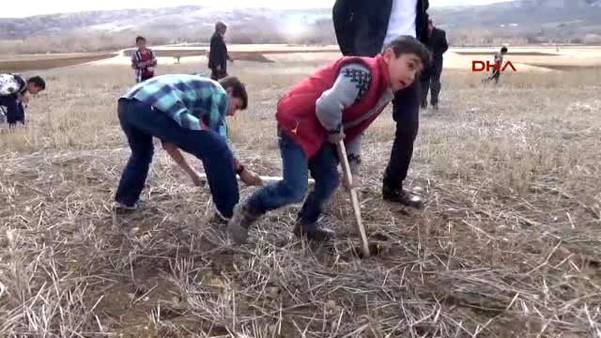 Sorgun?da Çiğdem Şenliği