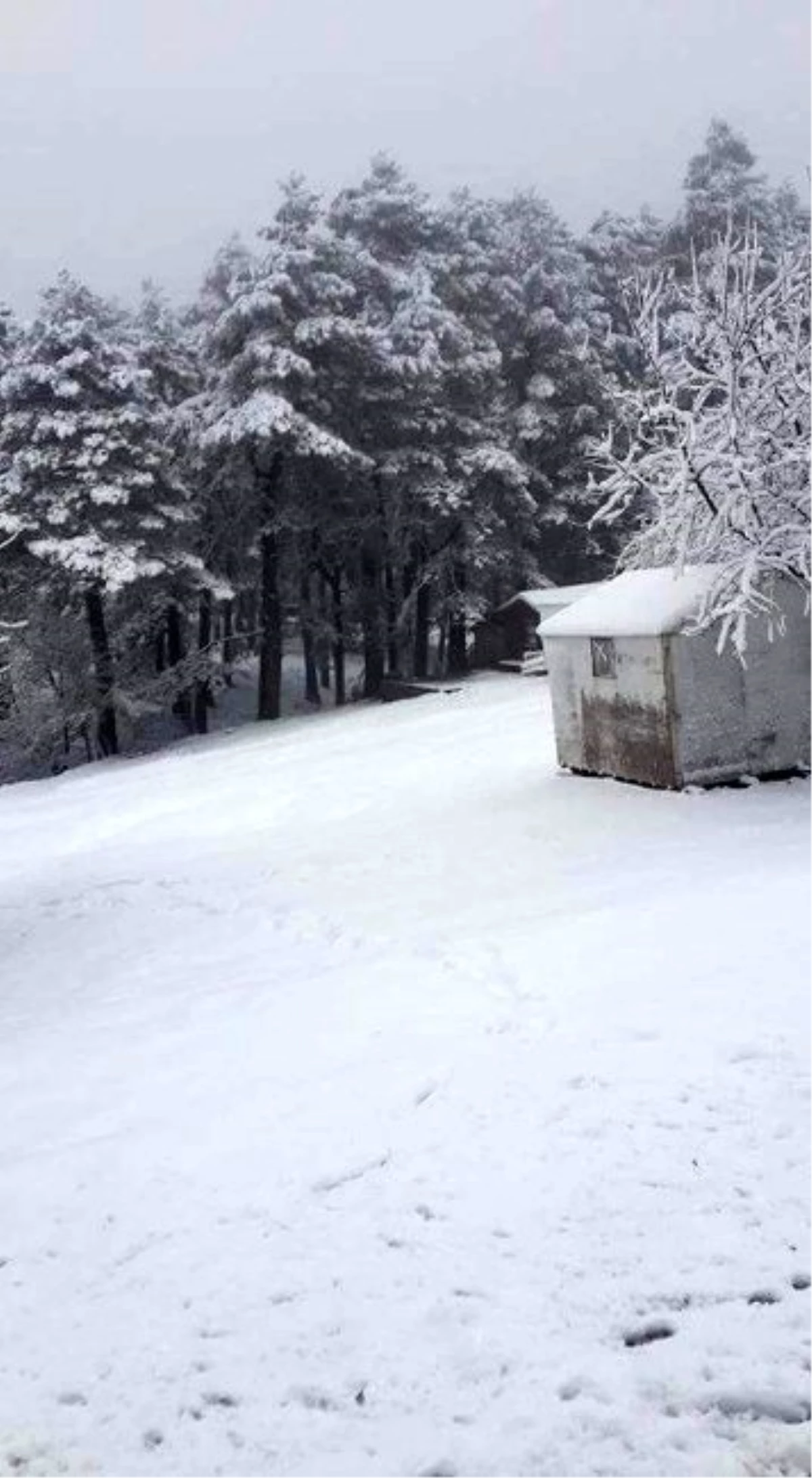 Yenice\'de Kar Yağışı