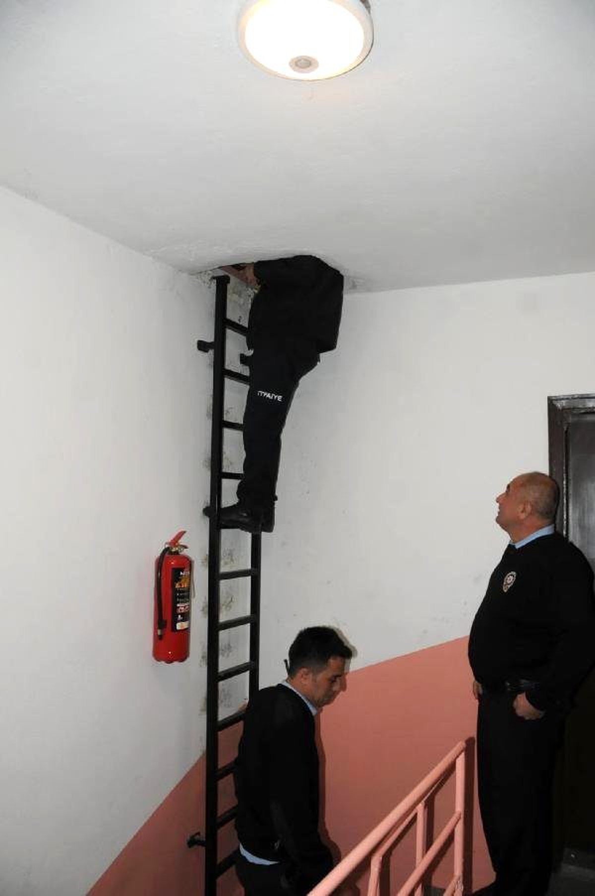 Apartman Çatısına Çıkan 2 Köpeği İtfaiye Ekipleri İndirdi