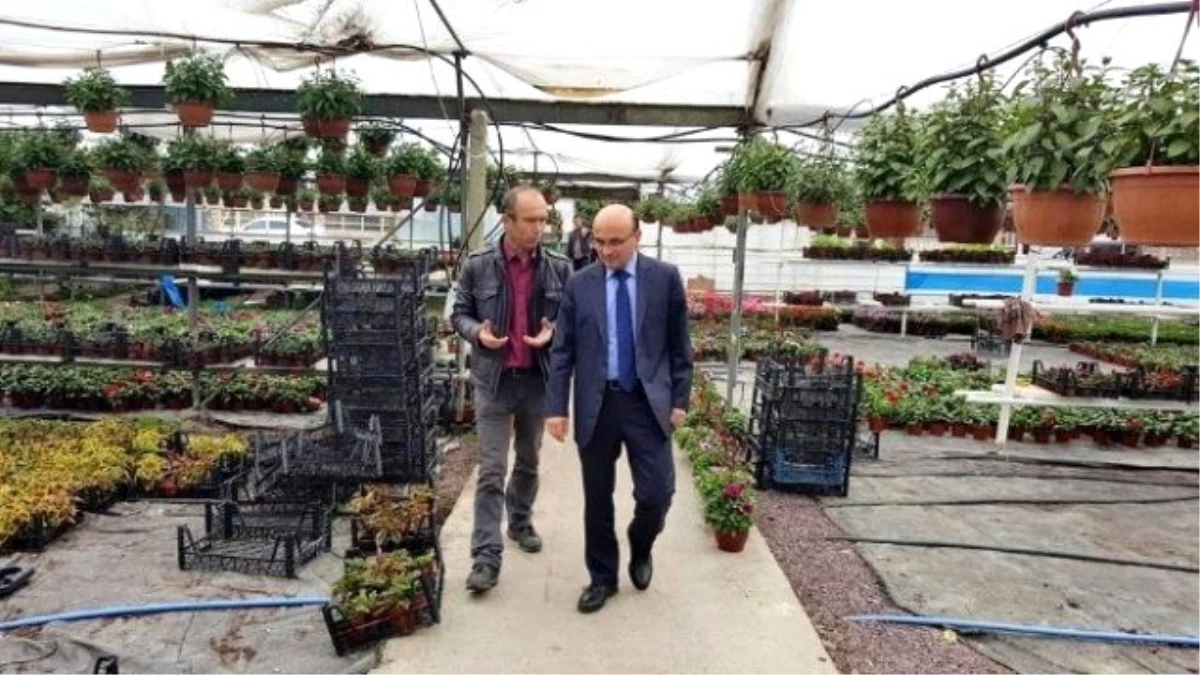 Başkan Oral\'dan Çiçek Üreticilerine Ziyaret