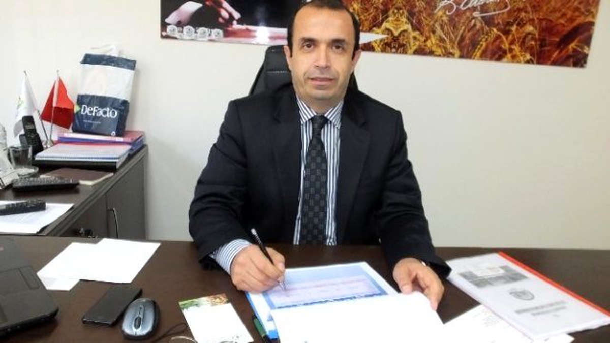 Burhaniye\'de Naturel Sızma Zeytinyağı Kalite Yarışması