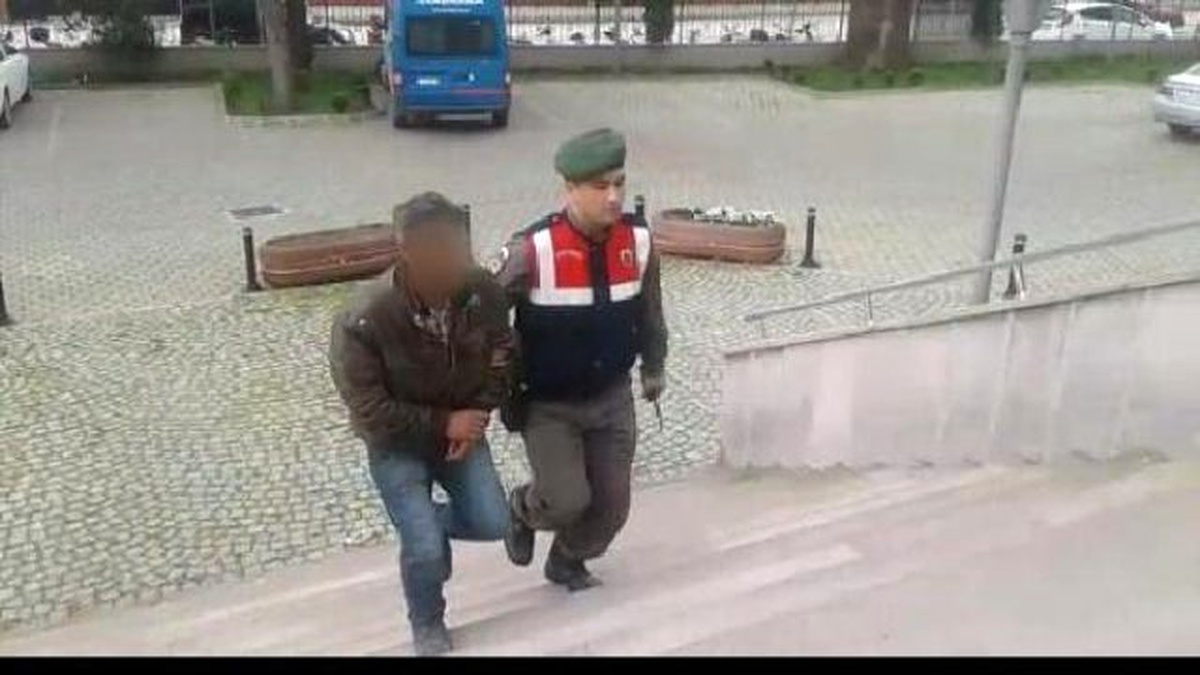 Ceviz Fidanı Hırsızları Yakalandı