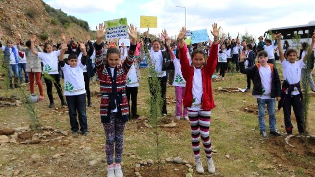 Minikler Kendi Ormanını Oluşturuyor