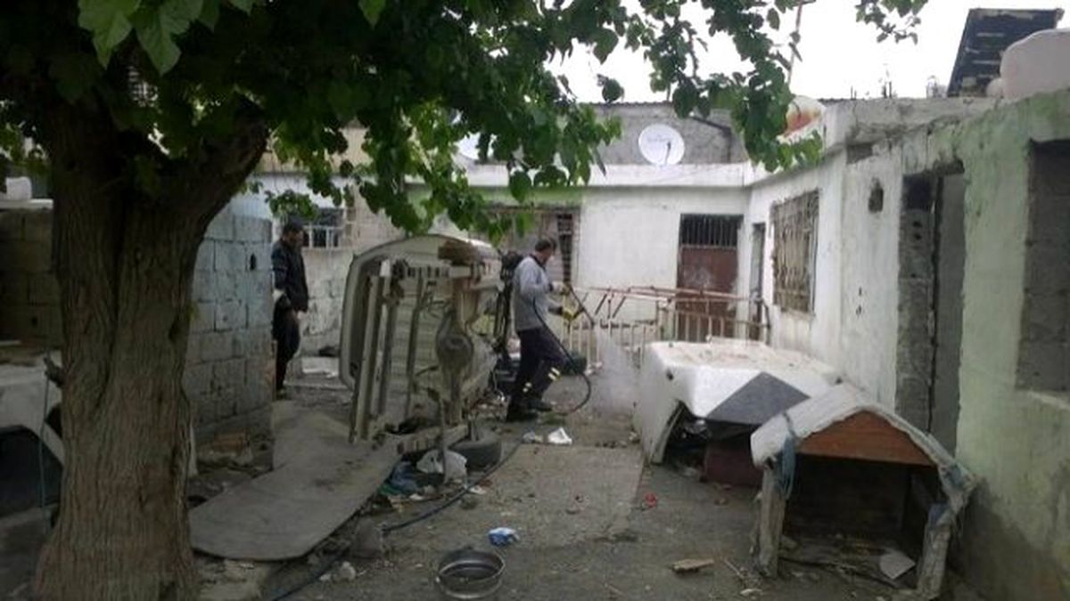 Terk Edilmiş Binalarda Haşere Mücadelesi
