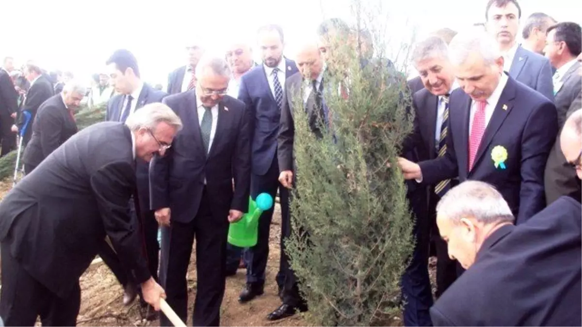 Çanakkale Şehitleri İçin Hatıra Ormanı